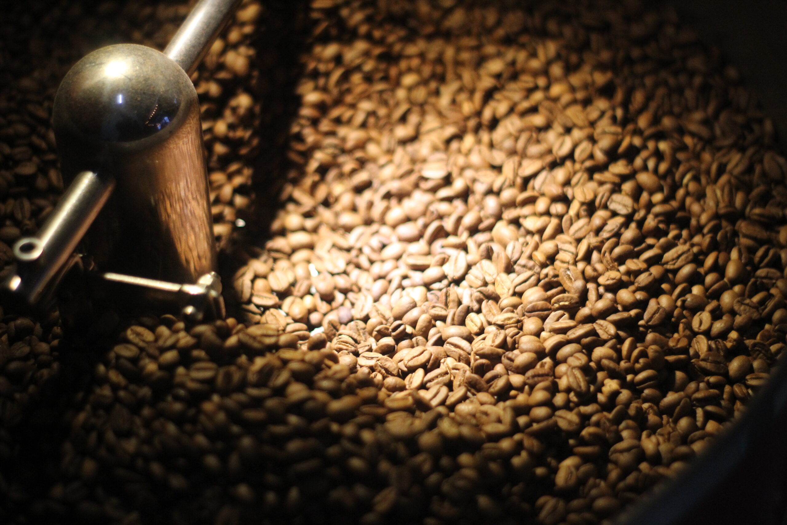 5 Ways to Elevate Your At-Home Brewing Game